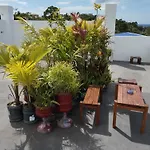 Roger\'S Place Guesthouse