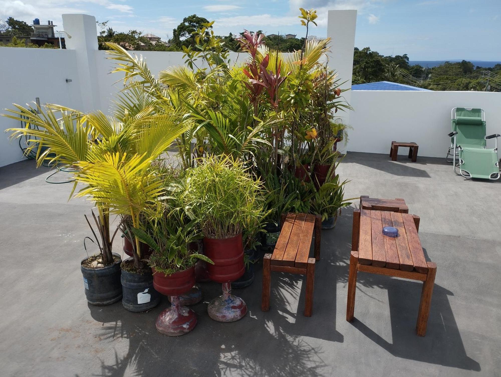 Roger'S Place Guesthouse Guest house 2*