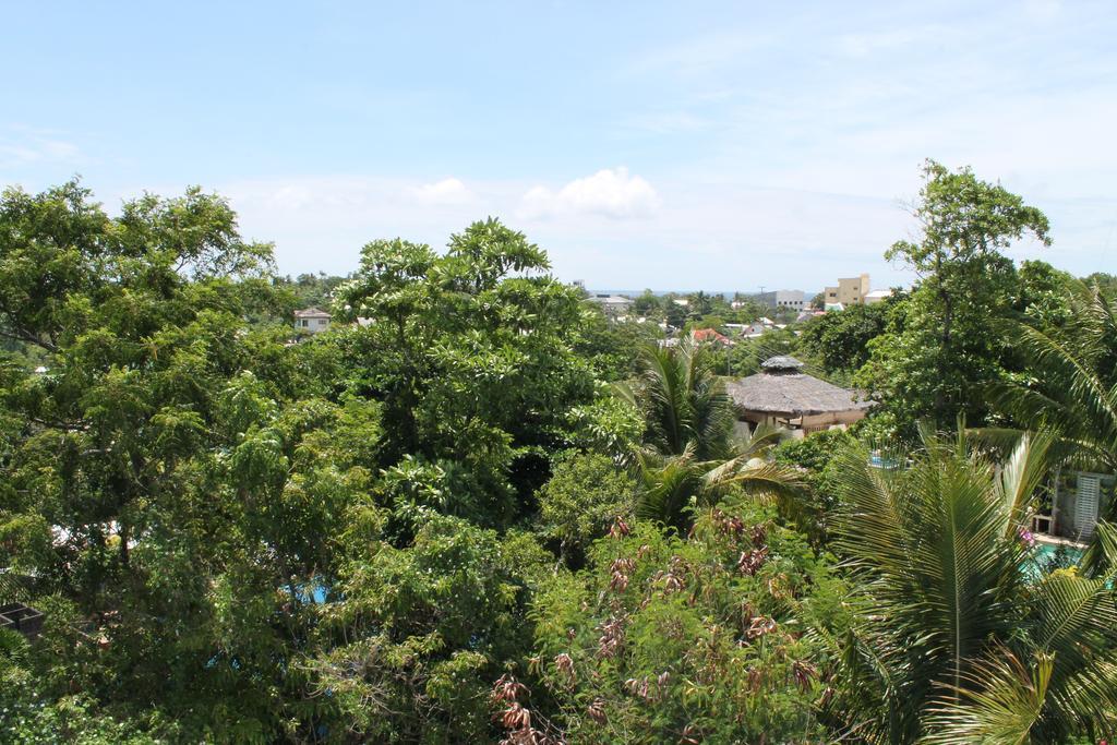 Roger'S Place Guesthouse Guest house Manoc-Manoc